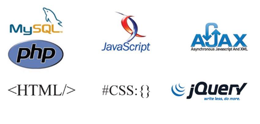 Web programer